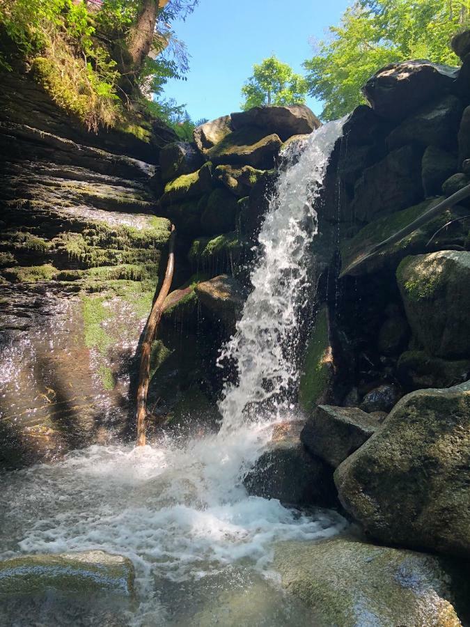 فيلا Le Moulin Des Olirics سالونش المظهر الخارجي الصورة