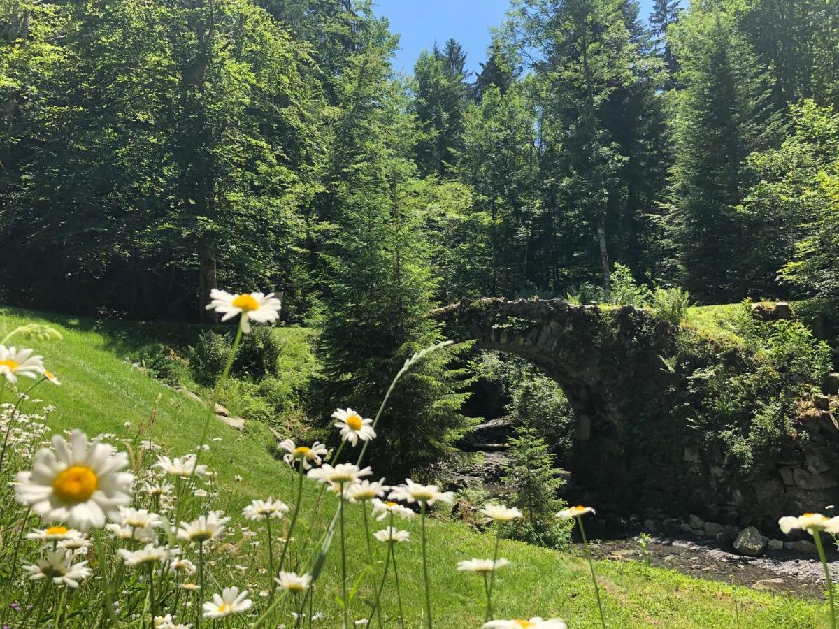 فيلا Le Moulin Des Olirics سالونش المظهر الخارجي الصورة